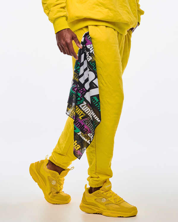 Apres Zumba Bandanas 2PK